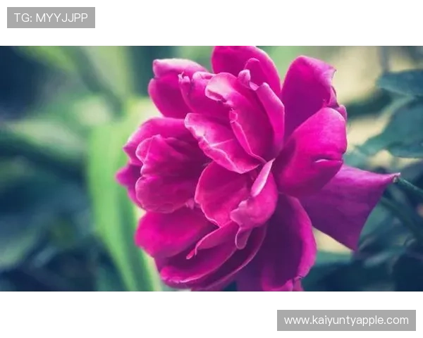 开运手机娱乐如何帮助改善心态，增强自信心，让你的人际关系更加顺畅